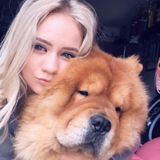 For Hire: Great pet sitter, walker in Encinitas, California