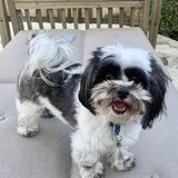 An enthusiastic tween looking forward to sitting