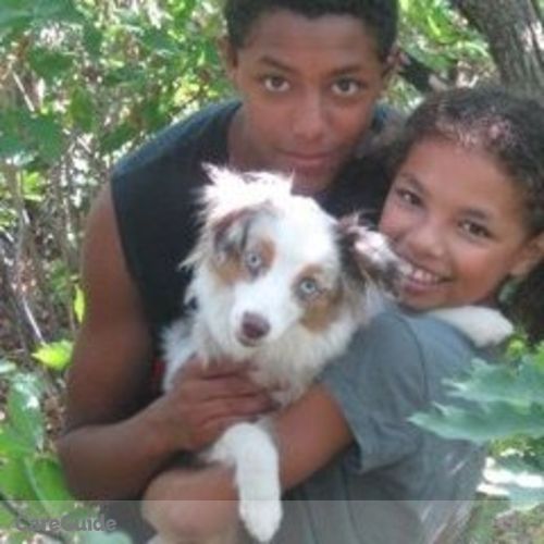 Pet Care Provider Jennifer Stout's Profile Picture
