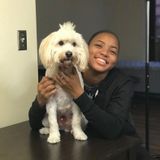 Your petsitting solution!