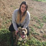 Energetic and friendly college student offering pet sitting and dog walking
