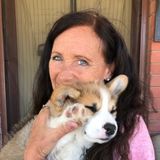 Pet sitter avaliable your fur babies are my fur babies