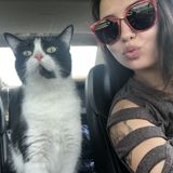 Purrrfect Match