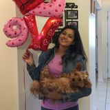Pet Sitter Available For Work