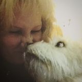Cottonwood Babysitting/Petsitting Service Provider