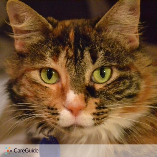 Pet Care Provider Suzanne S's Profile Picture