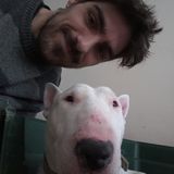 Experienced pet care service offered