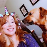 Loving Pet Sitter, Available Immediately, Comfortable with All Animals