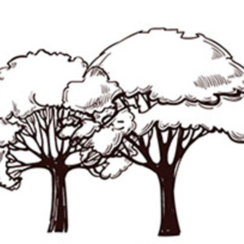Landscaper Job Cyrus H's Profile Picture