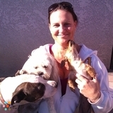 Excellent Pet Care Provided Have References