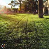 Green Hills Landscaping And Maintenance