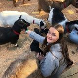 Experienced babysitter from New Zealand