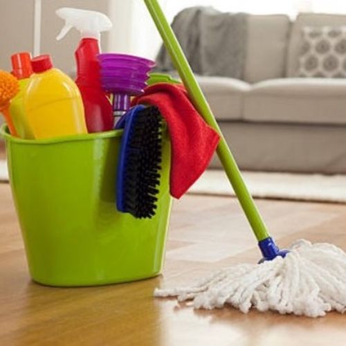 Housekeeper Provider Erika E's Profile Picture