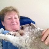 Loving Petsitter in Pinellas Park