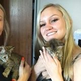 Hey Im Kassie! I Would Love To Sit Your Cats And Dogs Whenever Needed!