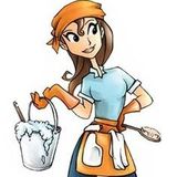 Available: Seasoned Housecleaner in Bloomington