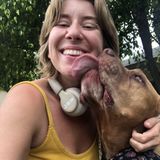 Your pets new best friend!