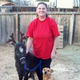 Loving Senior Pet Sitter With Many Years Experience Refrences Available Upon Request