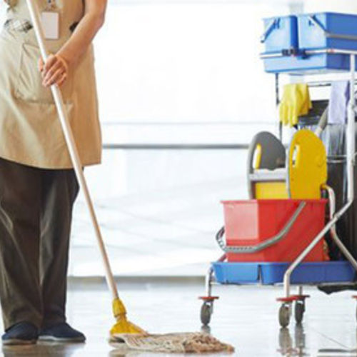 Housekeeper Provider Kelly M's Profile Picture