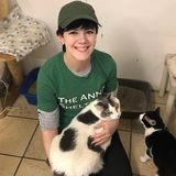 Available: Pet walker/sitter in Erie, PA