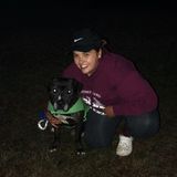Experienced pet sitter/dog walker