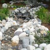 Hardscape & Softscape