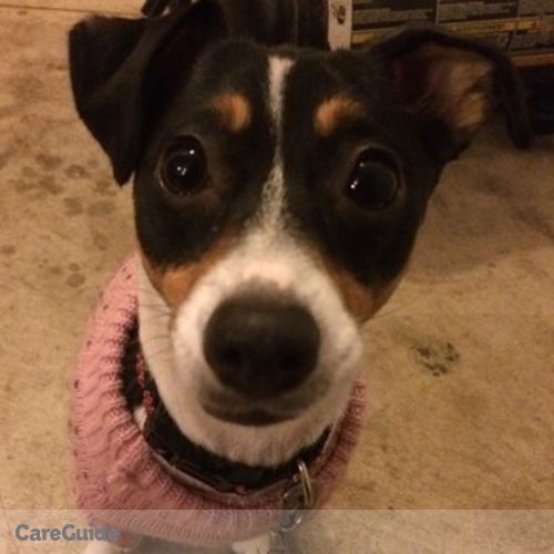 Pet Care Provider Denyelle L's Profile Picture