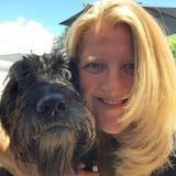 Dog sitting/walking services from responsible adult who loves animals
