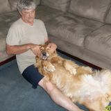 Lancaster Pet Sitter Interested In Work in Pennsylvania I have a dog of my own her name is sasha marie. I got her from spca.