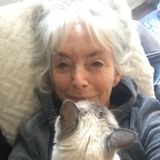 Most Capable Caretaker in Redding