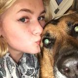 Dog Sitting in Tobyhanna, Pennsylvania