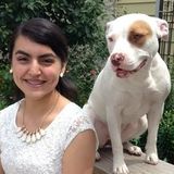 ISU Student-Pet Care Provider