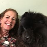 Available: Skilled House Sitter in Park City