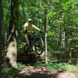 Dog Boarding Needed in Charlotte