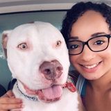 Dog lover with flexible schedule!