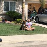 Reliable Dog Sitter in Porterville, California