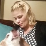 Sit & Stay" Dog Care with Love