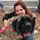 Happy Tails Lounge - Our home is your pups home. Cats are welcome too.