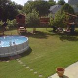 Dog loving family with large home.