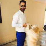 Consistent Pet Care Provider