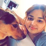 Petcare