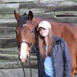 Animal and Pet Sitter