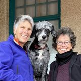 Regular dog sitter wanted for occasional overnights to one or two 2 weeks stays a year
