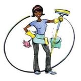 Cleaning, Organizing, and Home Specialist
