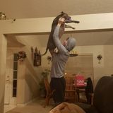 Im Nate, im 16, I have three dogs of my own and I have a tremendous care for animals; especially dogs.