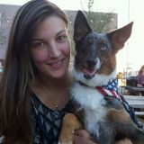 In Home Care for Cats and Dogs