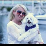 I love dogs