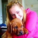 Professional Dog Walker for Your Home