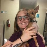 Hardworking Pet Sitter Available Immediately
