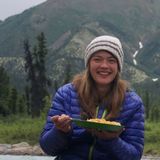 Math, science and writting help for highschool students